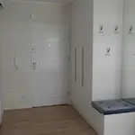 Perly Baltyku